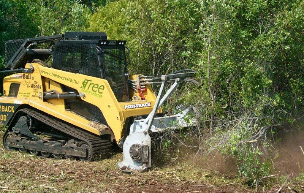 Cserje- és bozótirtás, telektisztítás - Tree Service Kft.